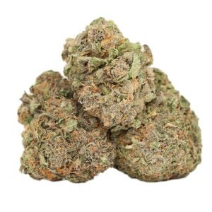 Blue Cheese Strain