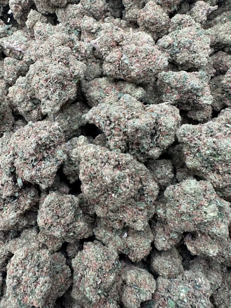 blue cheese marijuana grass