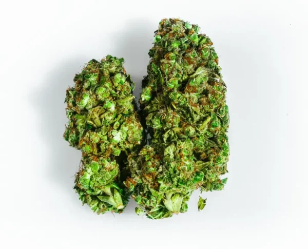 Tangerine Dream THCa Flower - Image 2